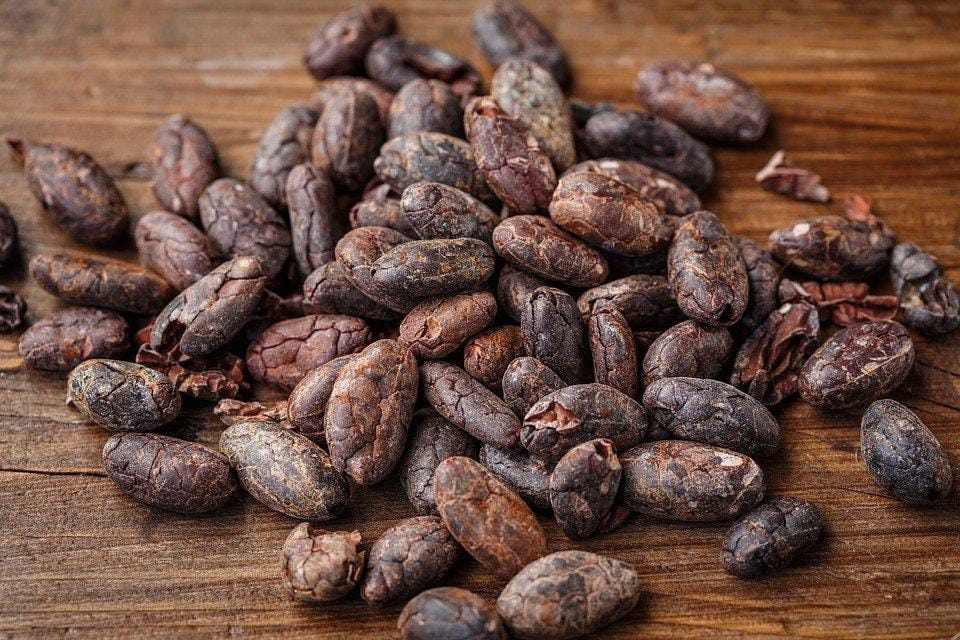 Prix du cacao : tensions entre Accra et Abidjan avant l’échéance européenne